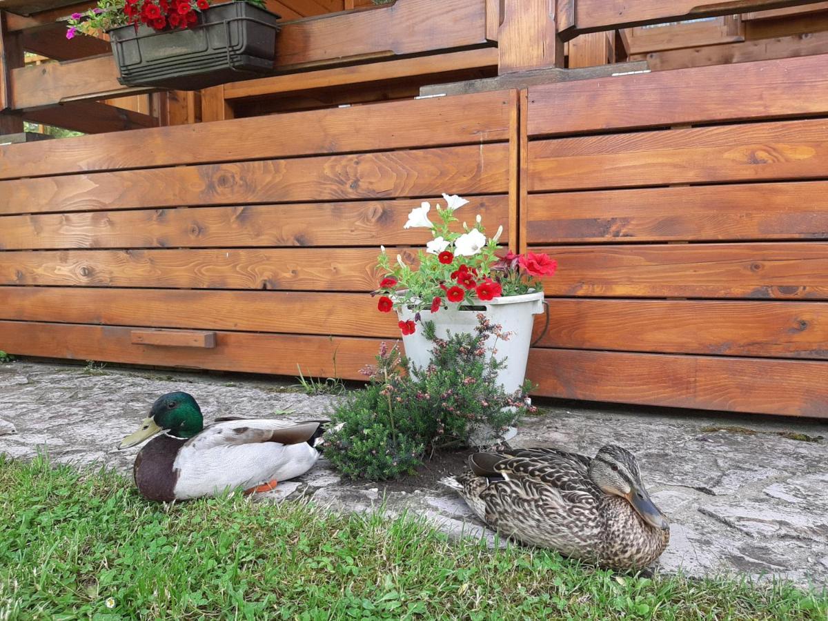 Rest House Ripac Prascijak Экстерьер фото