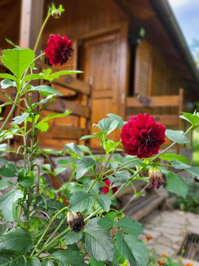 Rest House Ripac Prascijak Экстерьер фото